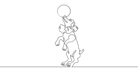 Continuous one line drawing trained dog. The dog performs in the circus. Circus..One continuous line isolated minimal illustration.Not AI.