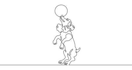 Continuous one line drawing trained dog. The dog performs in the circus. Circus..One continuous line isolated minimal illustration.Not AI.