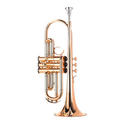 Fototapeta premium A gold cornet musical instrument isolated on white background