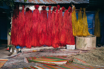 Dyed reeds are dried at Vietnamese village for the production of traditional mats in Vietnam