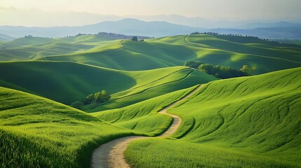Rolling green hills with a winding dirt path leading into the horizon