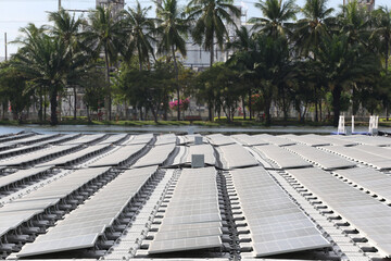 Expansive Solar Panel Installation Surrounded by Lush Green Palm Trees in a Sunny Urban Environment...