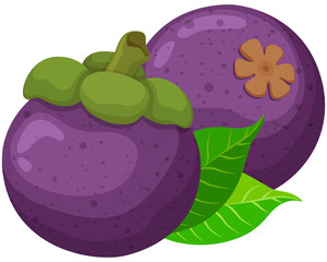 Fruit, Mangosteen, Tropical Fruits, Illustration Hand Drawn