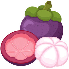 Fruit, Mangosteen, Tropical Fruits, Illustration Hand Drawn