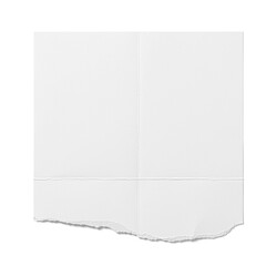 A blank sheet of torn white paper, suggesting potential for notes or creativity.