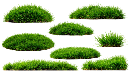 Lush Green Grass Clumps and Patches Isolated for Landscaping Design Elements
