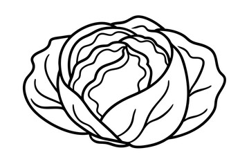 Cabbage coloring book page line art vector illustration, Cabbage outline icon vector