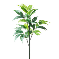 Green plant with vibrant leaves against a colorful striped background artistic nature design