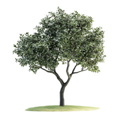 Lush green tree on small grassy hill abstract background