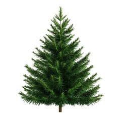 Fototapeta premium A lush green evergreen tree stands tall against a vibrant abstract background