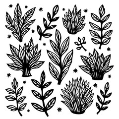 Elegant black and white botanical illustration with floral and foliage elements
