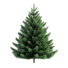Fototapeta premium A lush green Christmas tree stands tall against a colorful striped background