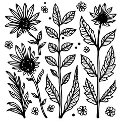 Elegant floral illustration with bold lines, creating a striking botanical composition