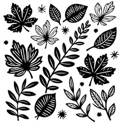 Botanical illustration showcasing various types of leaves in black and white