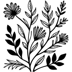Botanical illustration: Detailed monochrome floral design showcasing elegant leaves and flowers