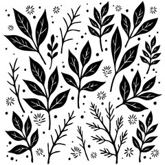Botanical illustration of various leaves and branches in black and white design