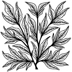 Botanical Illustration: Elegant hand-drawn leafy plant for decoration and design projects