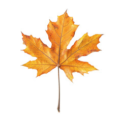 Fototapeta premium Autumn leaf abstract art colorful lines fall foliage nature design