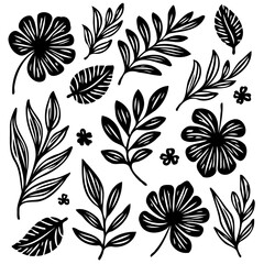 Botanical Vector Design: Black and White Floral Elements for Creative Projects