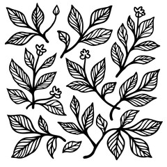 Botanical Vector Illustration of Various Plants and Flowers in Black and White
