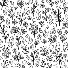 Elegant floral pattern illustration featuring various botanical elements and organic shapes