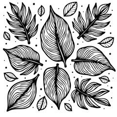 Elegant Black and White Leaves Illustration: A Botanical Composition with Decorative Line Art