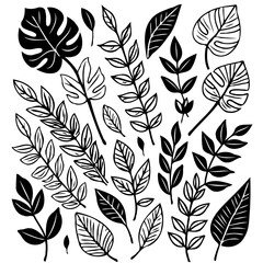 Elegant Black and White Botanical Illustration Set with Diverse Leaf Designs
