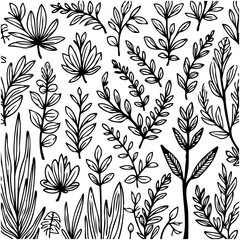 Delicate botanical line art pattern design with leaves and branches arrangement