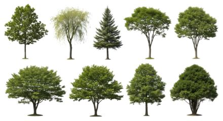 Collection of diverse green deciduous and coniferous trees isolated on transparent background for design