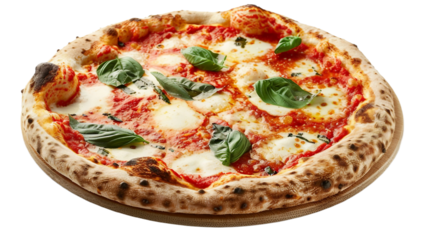 Solitary Object on Empty Canvas on the Transparent Background