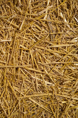 Close up of dried golden straw or hay creating a textured background, concept of agriculture, rural life, animal feed