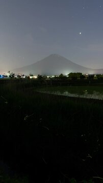 Dancing Fireflies Above Rice Paddy Waterways - Mount Fuji Background (Timelapse/ZOOM OUT)