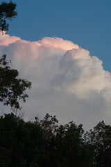 Fluffy cloud at sunset