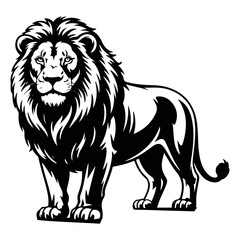 Fototapeta premium Majestic and Powerful Lion Vector Illustration with Detailed Mane – King of the Jungle Wildlife Silhouette . Thank You .