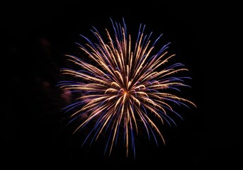 Obraz premium A vibrant firework bursts with gold and blue sparks in the night sky