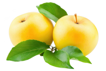discover Golden Apples With Leaves And Healthy Fruit Diet, Natural Sweetness