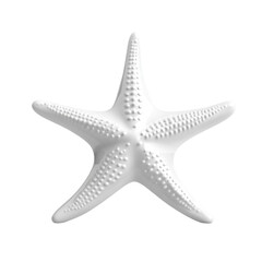 Obraz premium White starfish model on striped background nautical decor home ornament