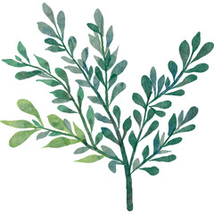 green leaf water color