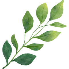 green leaf water color