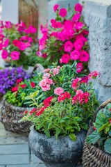 Colorful flowers in baskets brighten a textured stone wall, adding life to the garden
