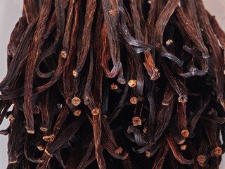 Dried vanilla bean pods.