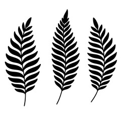 Fototapeta premium Farn Set Stempel schwarz