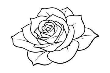 rose coloring page line art vector illustration, rose outline icon vector