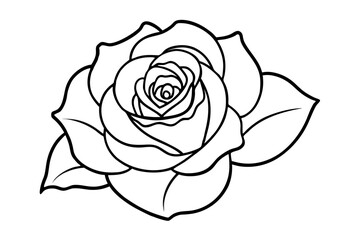 rose coloring page line art vector illustration, rose outline icon vector
