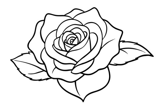 rose coloring page line art vector illustration, rose outline icon vector