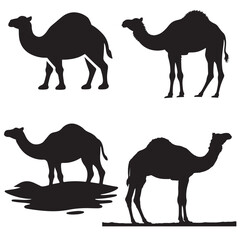 camel silhouette