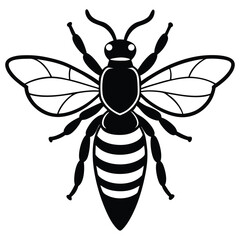Black Silhouette Of A Honey Bee Insect On White