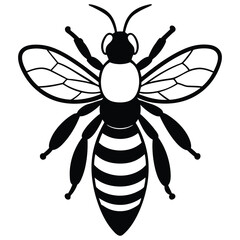 Black Silhouette Of A Honey Bee Insect On White