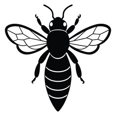 Black Silhouette Of A Honey Bee Insect On White