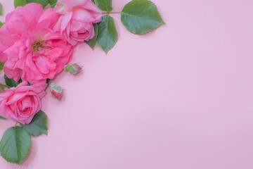 Pink Roses and Leafs Frame on Pastel Pink Background with Copy Space